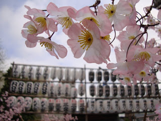 Hello Tokyo! Goodbye Shaun! 3