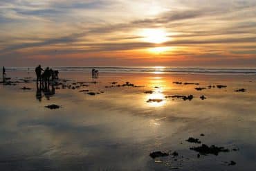 Things To Do in Long Beach Washington 17