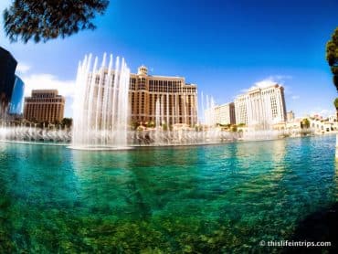 Learning To Love Las Vegas 4