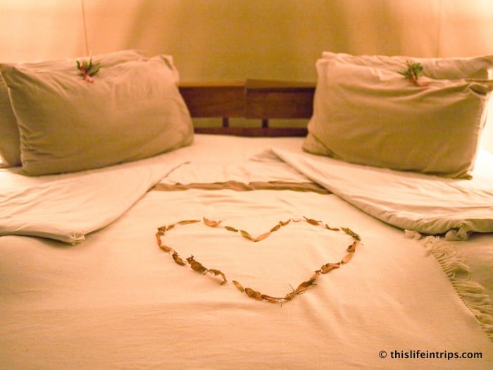 5 Reasons to Choose Encounter Mara for your Honeymoon Safari