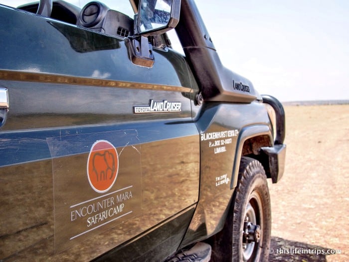 5 Reasons to Choose Encounter Mara for your Safari 6