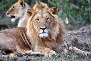 My 1st Safari Experience 22