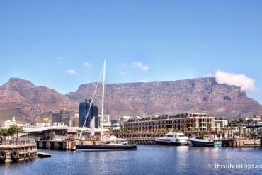 Why Cape Town’s V&A Waterfront Should not be Missed 8