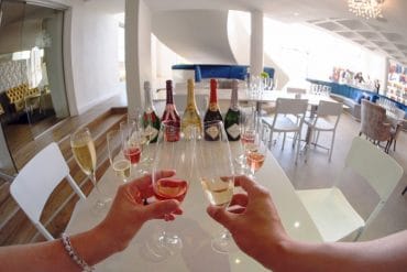 Cape Winelands Guided Tour - It's for the best. 5
