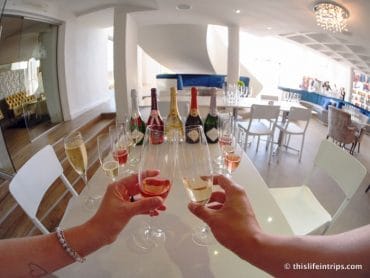 Cape Winelands Guided Tour - It's for the best. 5