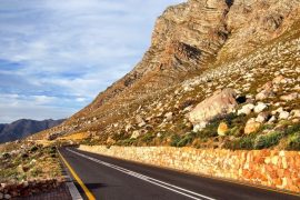 The Garden Route in 3 Days 8