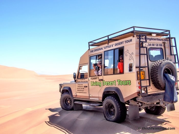 Tommy’s Living Desert