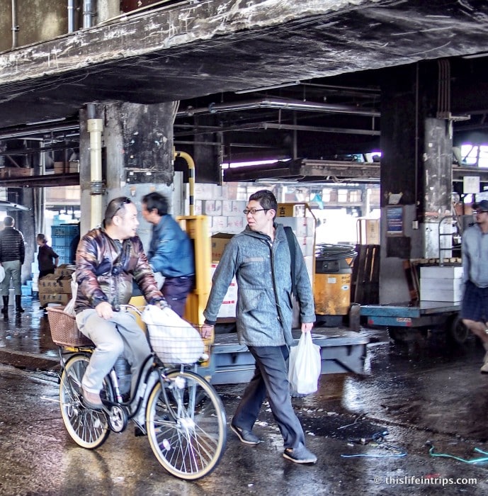 Tasting Tsukiji Market with Tokyo FooDrink 15