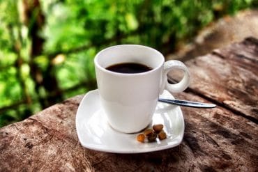 Kopi Luwak in Bali