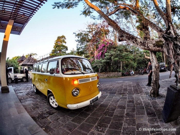Bali Booze Bus