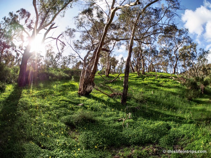 touring the Fleurieu Peninsula