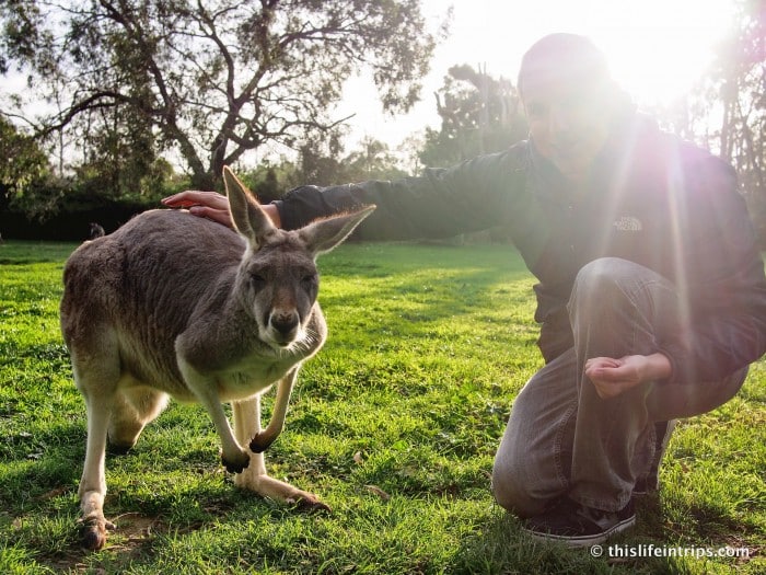 Falling in love with Adelaide and why you Shouldn't Skip it