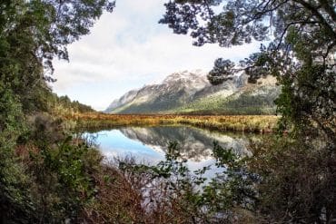 Milford Sound with Real Journeys