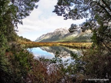 Milford Sound with Real Journeys