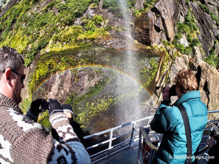Milford Sound with Real Journeys