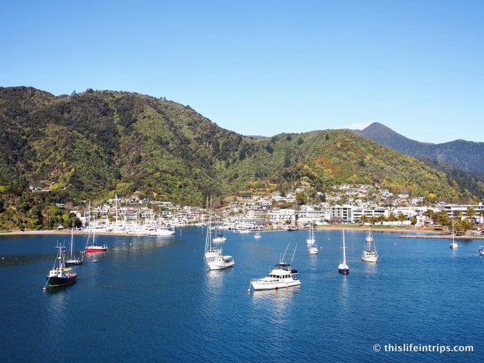 Capture the essence of the Cook Strait journey with InterIslander's scenic cruise.