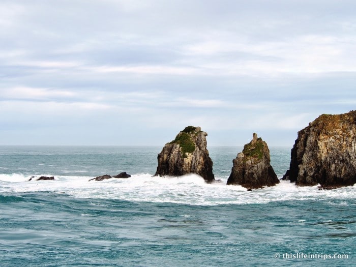 Marvel at the natural beauty of Cook Strait
