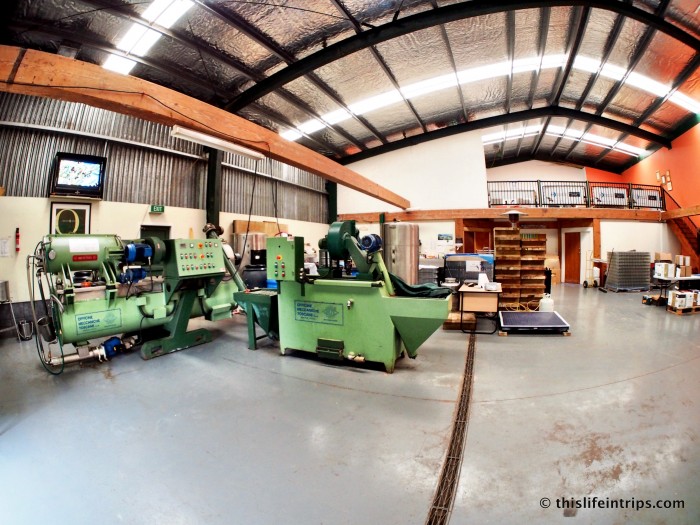 Olive oil making at Rangihoua Estate