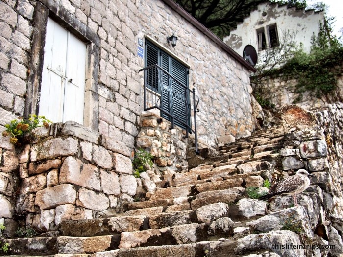 Dubrovnik Top Tours