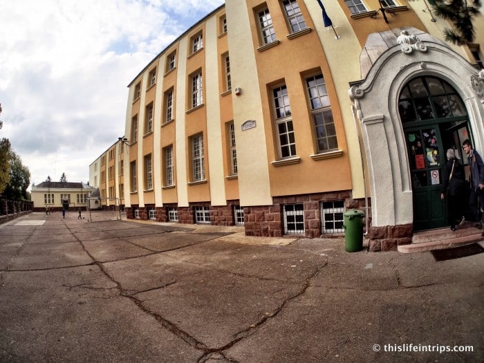 Tracing Roots in Hungary