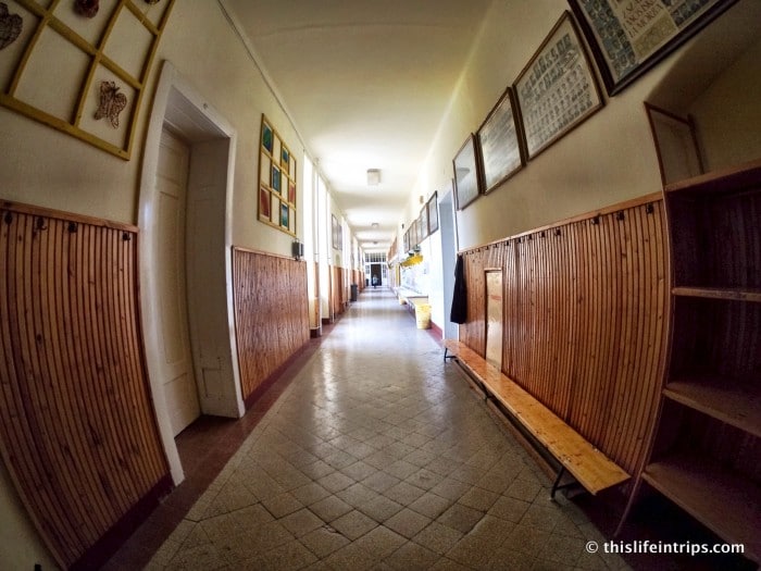 Tracing Roots in Hungary