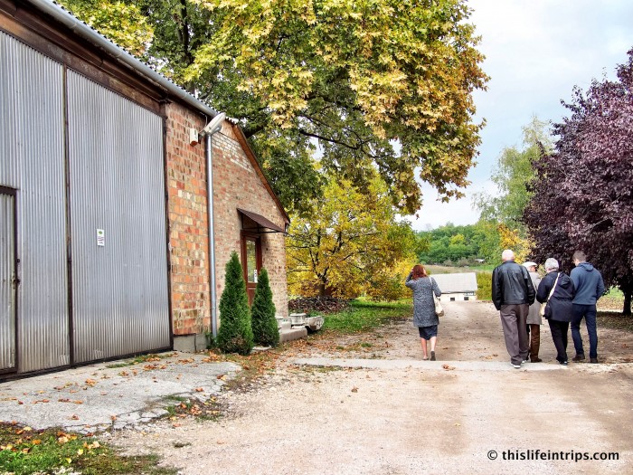 Tracing Roots in Hungary