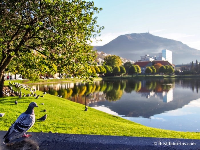 walk around Bergen