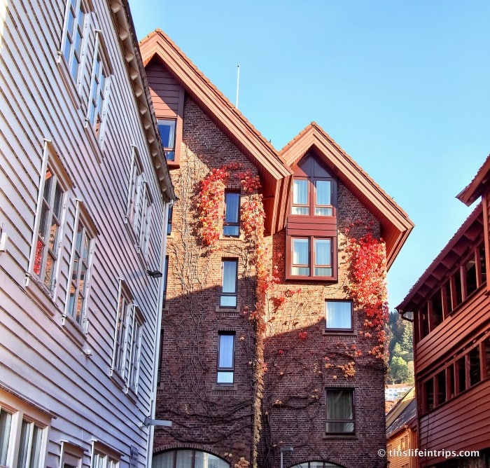 walk around Bergen
