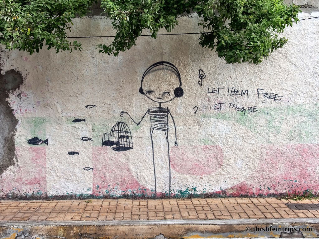 Discovering the Street art of Islas Mujeres