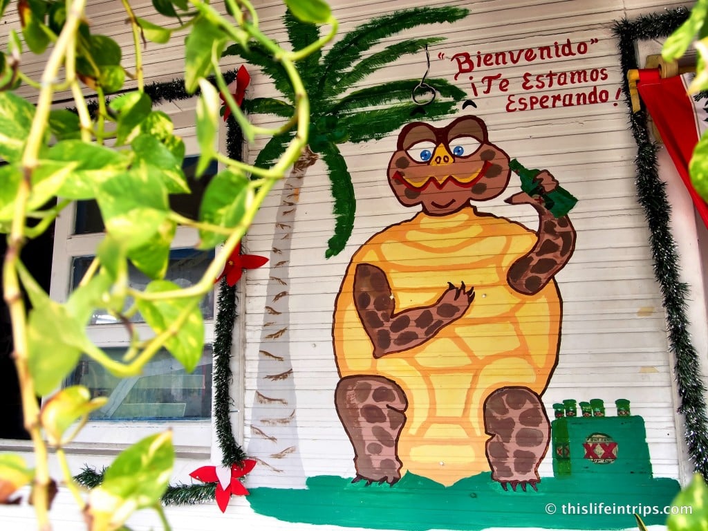 Discovering the Street art of Islas Mujeres