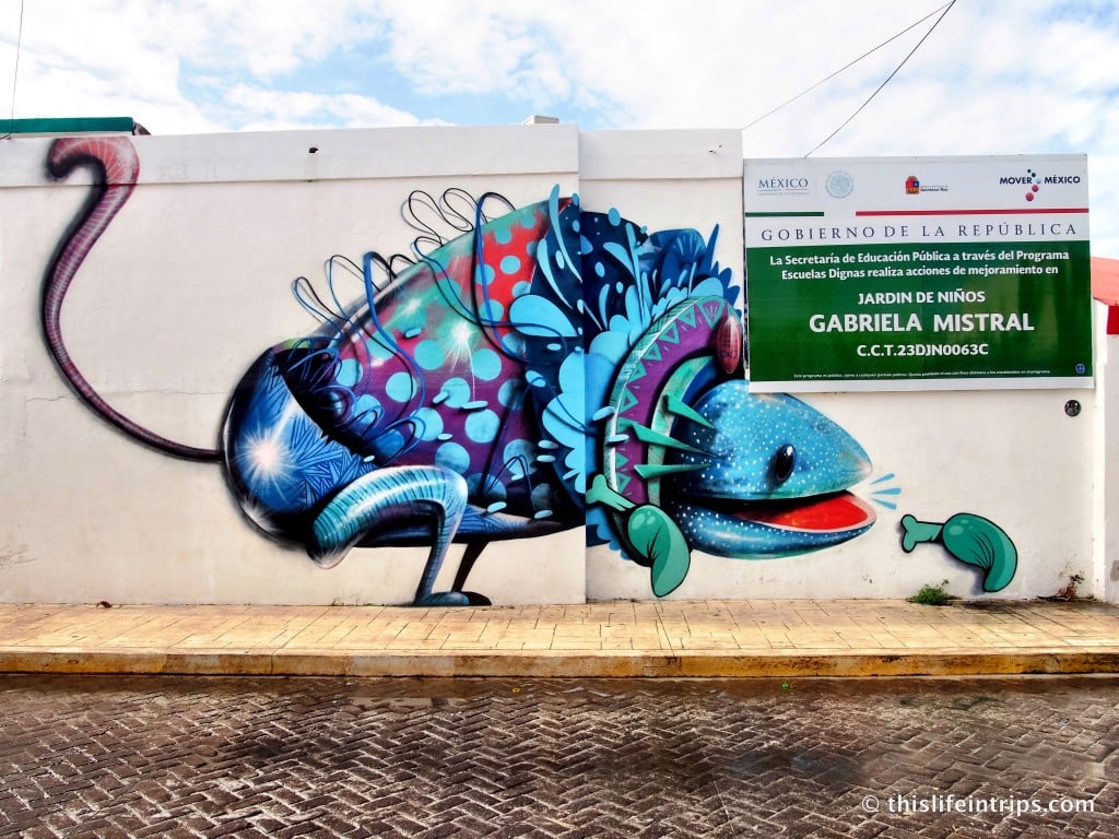 Discovering the Street art of Islas Mujeres