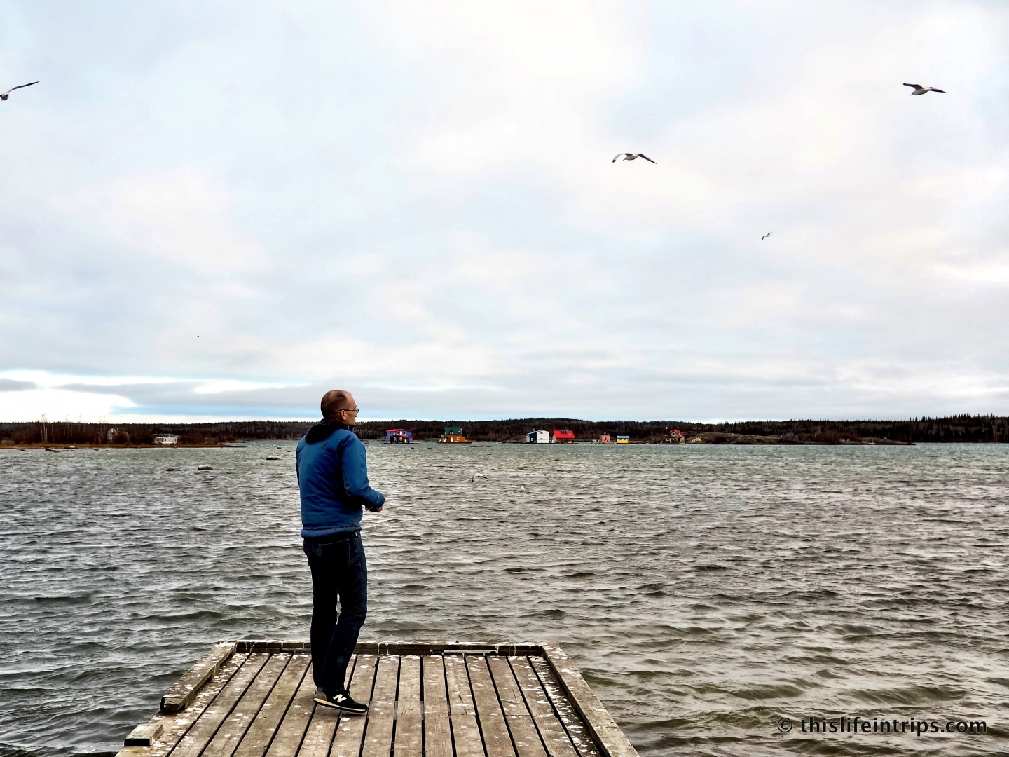 5 Reasons to Visit Yellowknife in the Fall