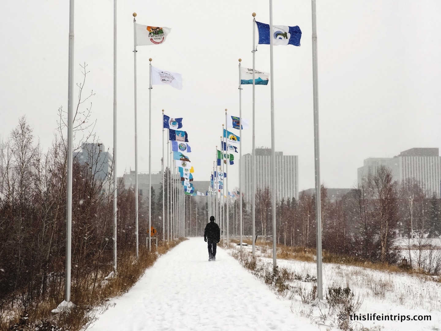 5 Reasons to Visit Yellowknife in the Fall