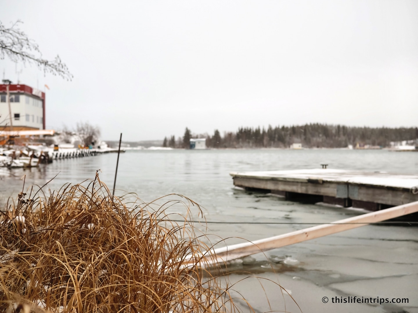5 Reasons to Visit Yellowknife in the Fall