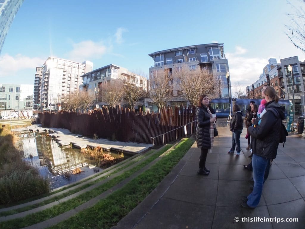 Experience Portland's Third Wave Coffee movement