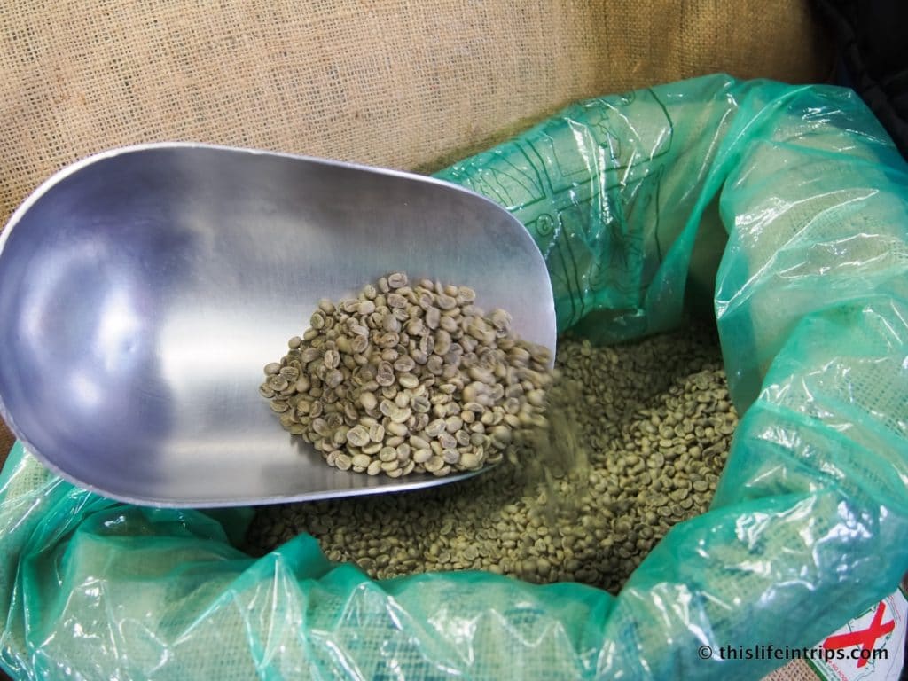 Sample artisanal roasted coffee beans on a Portland coffee roaster tour