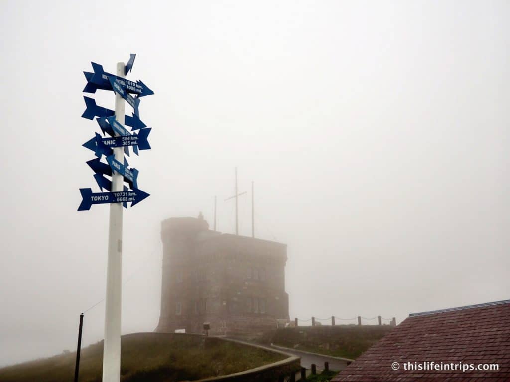 What to do in St. John's Newfoundland When the Fog Rolls in