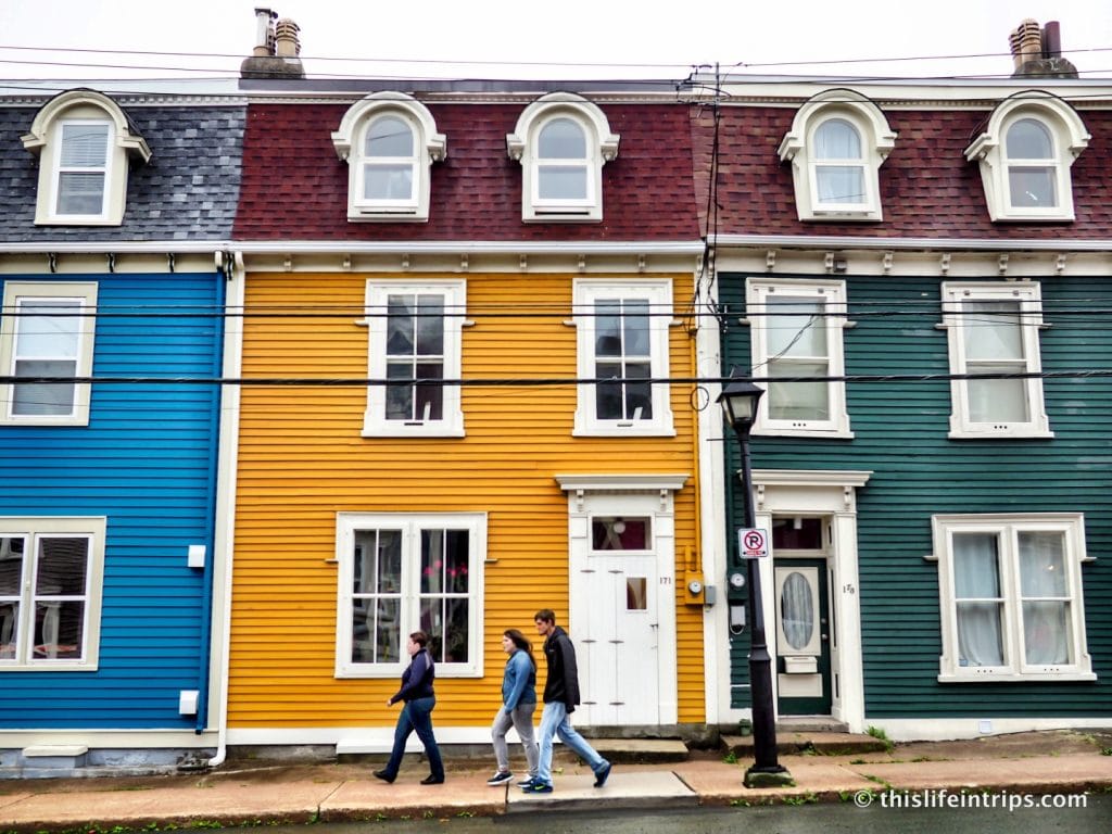 What to do in St. John's Newfoundland When the Fog Rolls in
