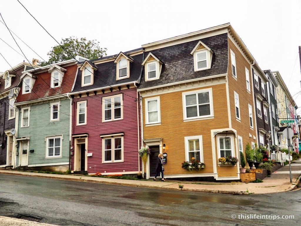 What to do in St. John's Newfoundland When the Fog Rolls in