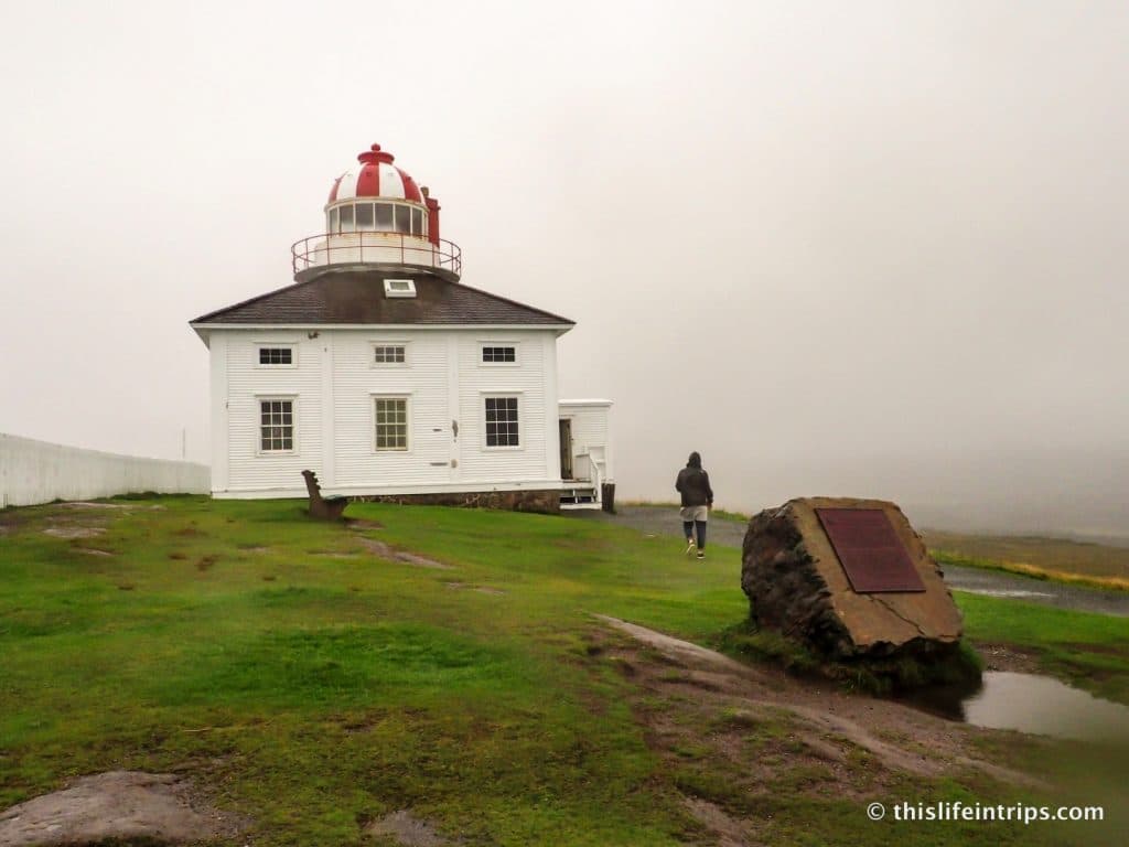 What to do in St. John's Newfoundland When the Fog Rolls in