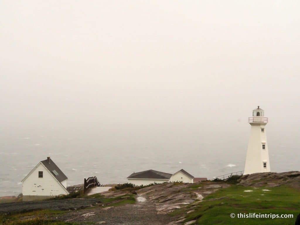 What to do in St. John's Newfoundland When the Fog Rolls in