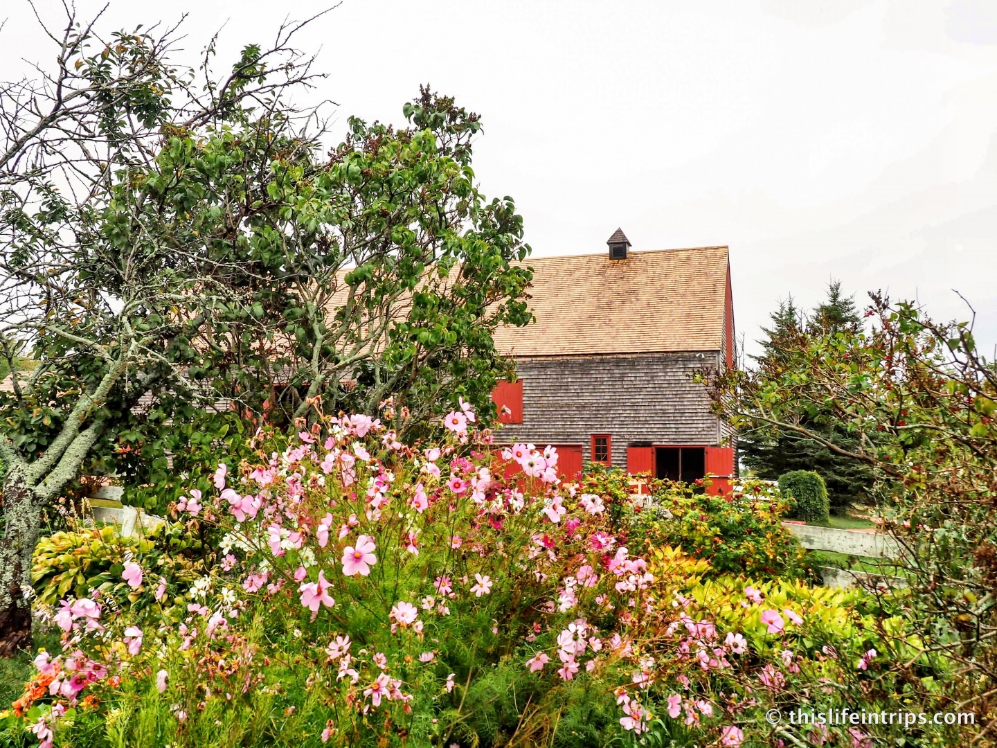 Visiting Prince Edward Island highlights - Anne of Green Gables