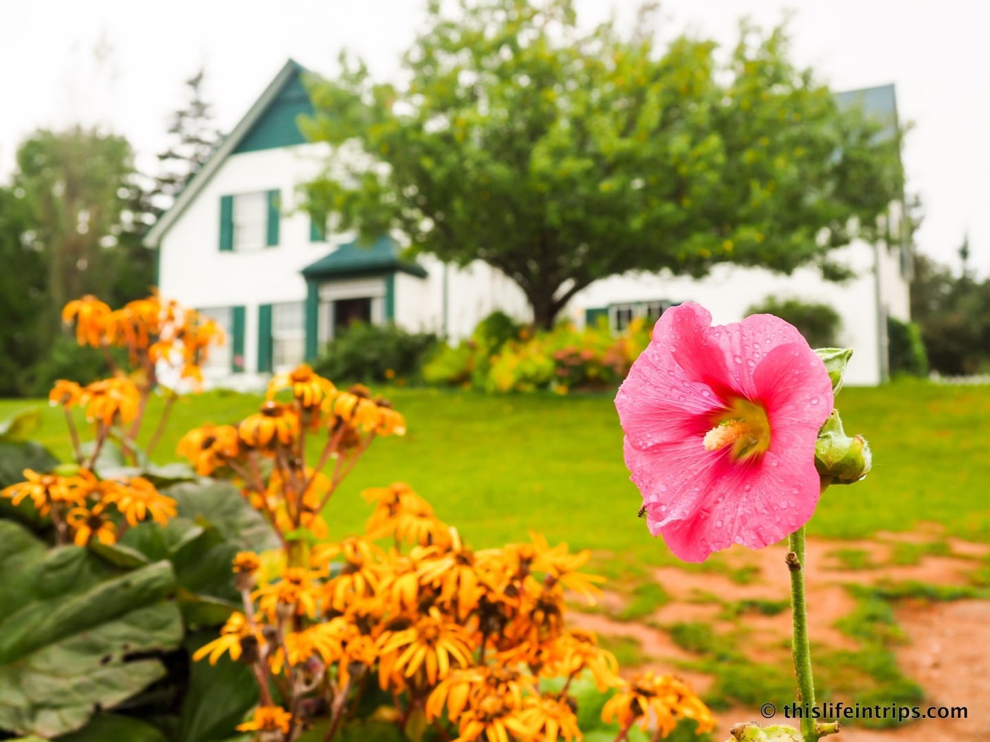 Visiting Prince Edward Island highlights - Anne of Green Gables
