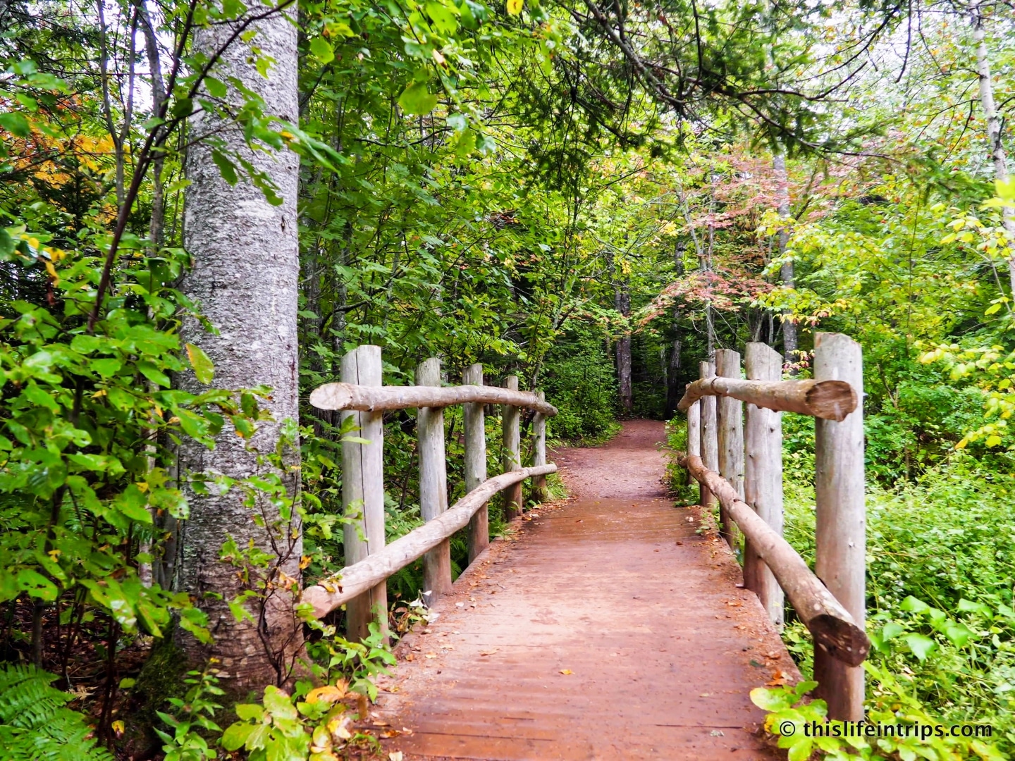Visiting Prince Edward Island highlights - Anne of Green Gables