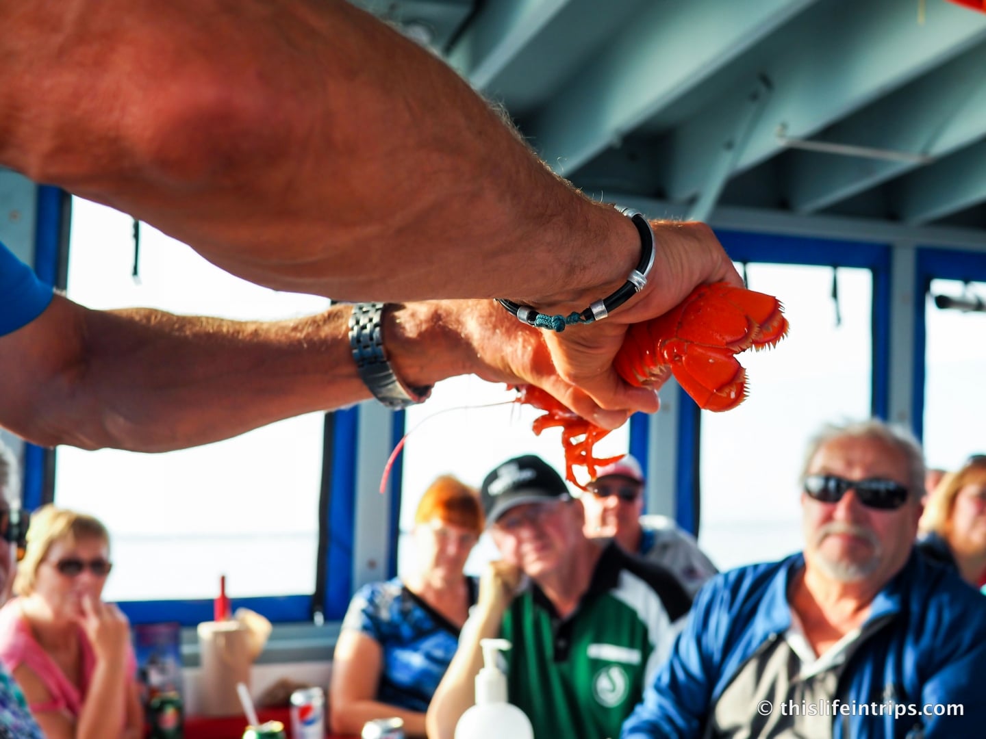 Insightful demonstrations of lobster trapping techniques