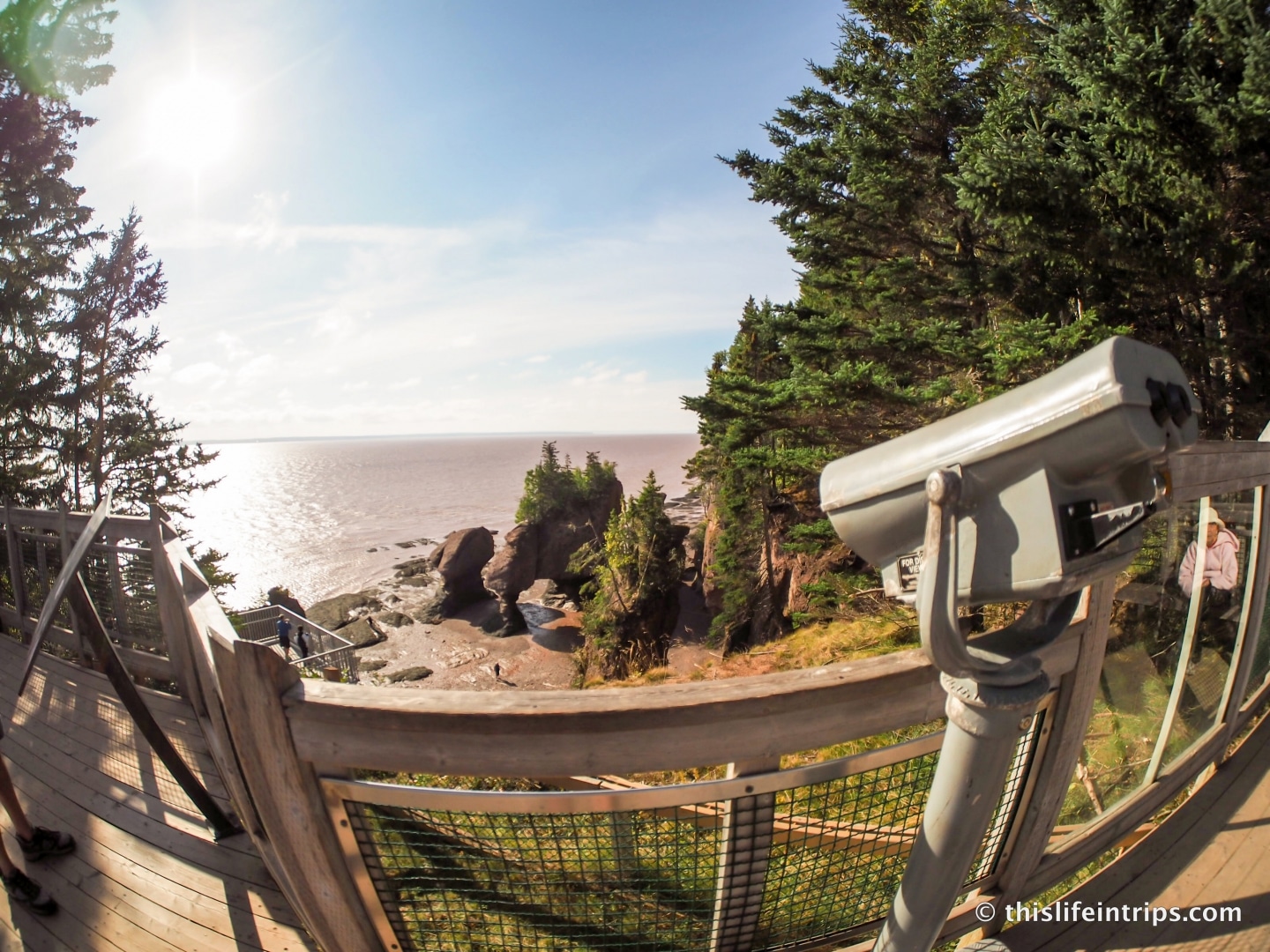 Overviewing the bay at Hopewell Rocks