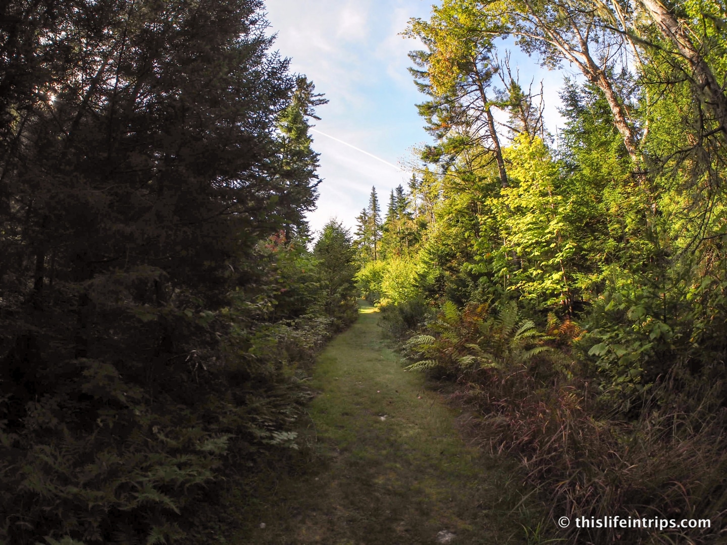 Ridgeback Lodge Review - Glamping in Canada at it's Best