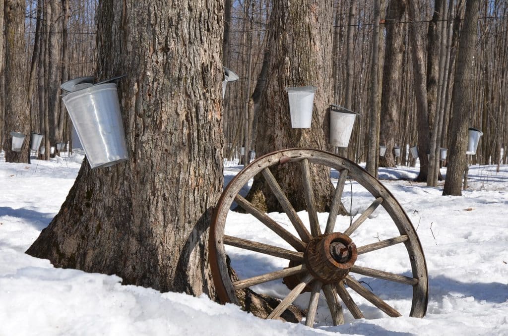5 Quebec Road Trips for Wintertime Fun