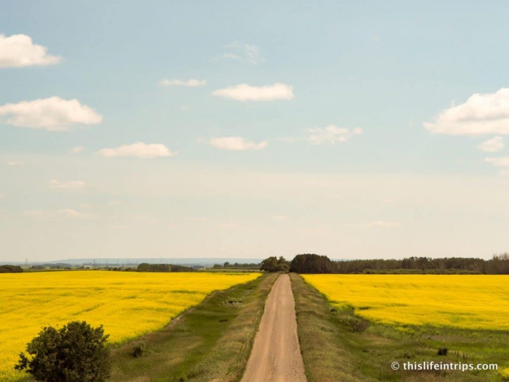 VIA Rail's The Canadian Train Review: An Unbiassed Experience