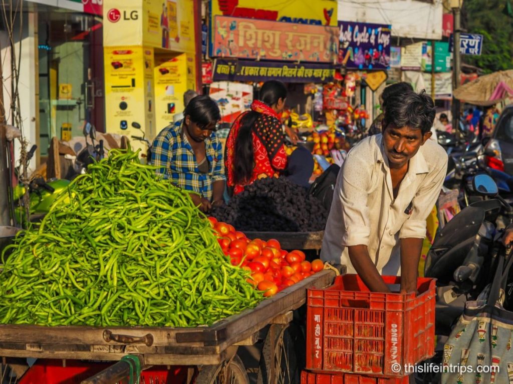 Deccan Odyssey Indian Sojourn Review